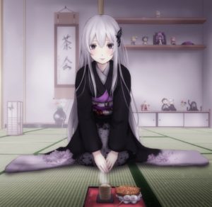 rezero-Echidna