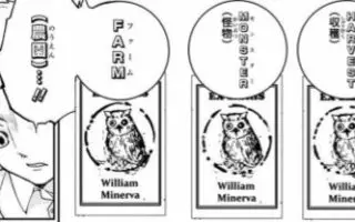William Minerva